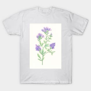 Alfalfa T-Shirt